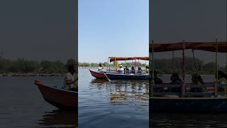 River boat viralvideos automobile travel love riverboat treanding train views water relax [upl. by Ynahteb]