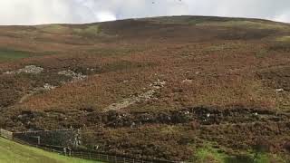 An amazing drive at Drumlanrig [upl. by Zadoc]