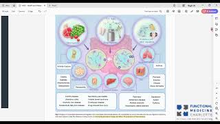 Akkermansia muciniphila  a key probiotic in the prevention of chronic disease [upl. by Everett]