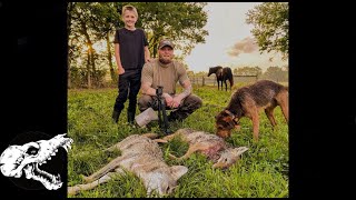 How To Train A Dog To Hunt Coyotes  Decoy Dogs [upl. by Arezzini]