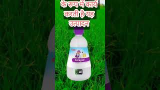 Coragen insecticide ।🌾एफएमसी कोराजेन कीटनाशक ।क्लोरएंट्रानिलिप्रोले 185 एससी।🌾🌾🌾 [upl. by Craggie854]