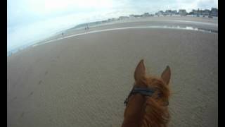 Galop sur la plage 2 [upl. by Ytitsahc]