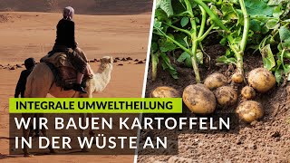 Die Wirkung der integralen Umweltheilung Wir bauen Kartoffeln in der Wüste an ▶️ Desert Greening [upl. by Yrahca]