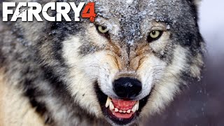 FAR CRY 4  Caçando LOBOS para a Amita 03 [upl. by Hirai922]