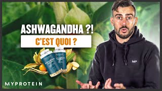 ASHWAGANDHA  Booster de testostérone  Bénéfices amp Utilisation [upl. by Junia183]