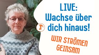 Live Wachse über dich hinaus Jin Shin Jyutsu für Entspannung am Abend [upl. by Ekyt]