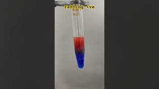 Fehling Test Experiment biochemistry Laboratory test [upl. by Ebonee315]