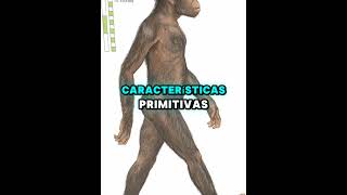 Lucy Australopitecus afarensis 🧑🏼‍🏫 sabiasque ciencia curiosidadescientificas datoscuriosos [upl. by Aihsenot]