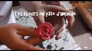 Comment réaliser des roses et jonquilles en pâte damande [upl. by Ainedrag795]