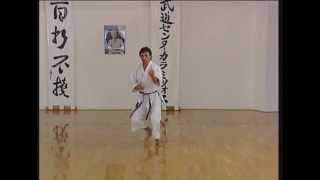 Kanku Sho  Efthimios Karamitsos  Karate  Kata  Shotokan [upl. by Tris]