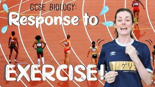 Response to Exercise  GCSE Biology [upl. by Hannej]