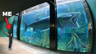 LARGEST AQUARIUM IN SOUTH AMERICA  Private Tour [upl. by Aronoh]