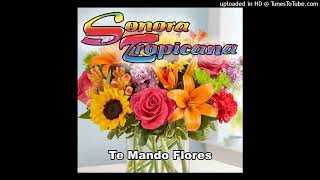 Sonora Tropicana Te Mando Flores [upl. by Ameer55]