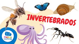 ANIMALES INVERTEBRADOS para niños  Artrópodos moluscos gusanos celentéreos y equinodermos [upl. by Alimrahs]