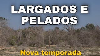 COMPLETO  LARGADOS E PELADOS 2023 6 NOVA TEMPORADA NA SELVA 2023 [upl. by Arney301]