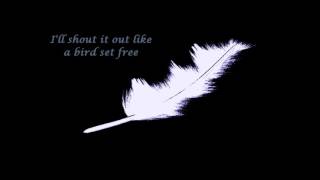 quotBird Set Freequot  Dalton Rapattoni Lyrics [upl. by Inahpets357]