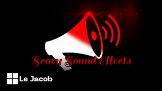 Female Blood Curdling Scream  Scary Sound Effect [upl. by Ecnerrat]