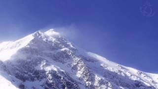 💨 Cold Howling Snowstorm Ambience in the Mountains of Austria Perfect for Sleeping and Relaxing [upl. by Allys]