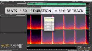 How to Find the BPM of a Song in Adobe Audition [upl. by Selemas]