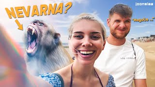 Paradiž na Tajskem in  NAPADALNE OPICE😠🐒l Ema Jagrič Vlog [upl. by Rist]