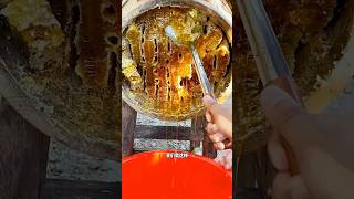 Extreme Honeycomb harvesting 🍯 Harvesting honey from beehive 🐝 EP37 shorts satisfying viral [upl. by Niela]