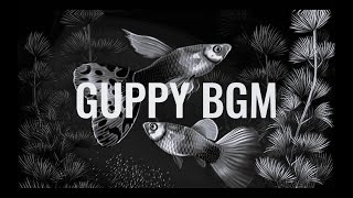 Guppy Movie BGM  Emotional  Malayalam Best BGM [upl. by Harrell294]