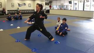 Extreme SKILLZ DEXTERITY martial arts classes for children 10 and up [upl. by Leuname]