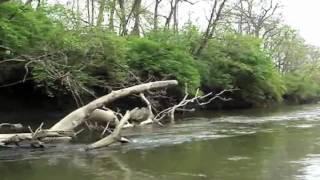 Little Miami Scenic River at Mill Run Launch 3  Rivers Edge Outfitters [upl. by Rocray]