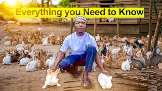 Everything You Need to know About Rabbit Farming [upl. by Morten581]