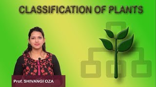 CLASSIFICATION OF PLANT [upl. by Lal]