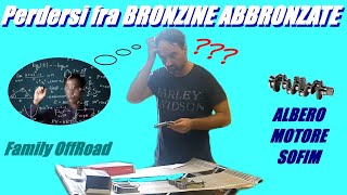 04 Perdersi fra BRONZINE ABBRONZATE albero motore Daily [upl. by Akem]