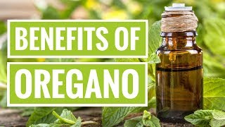 4 ScienceBased Health Benefits of Oregano [upl. by Wyon]