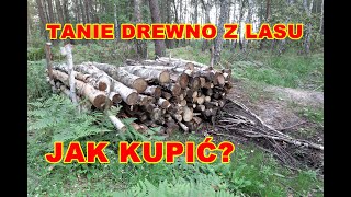 Tanie drewno opałowe kominkowe z lasu Jak kupić Chrust plus Samowyrób drewna [upl. by Hallvard]