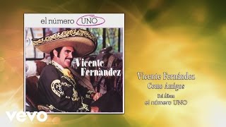 Vicente Fernández  Como Amigos Cover Audio [upl. by Alfi]