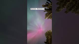 Aurora Borealis right in the front yard auroraborealis [upl. by Ander]