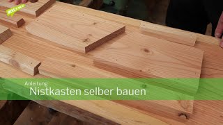 Anleitung Nistkasten selber bauen [upl. by Humbert]