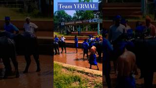 Yermal kudi miyar kambala shortvideo ತುಳುನಾಡ್ kudla shorts kambula mangalorekambala tulunadu [upl. by Froemming238]