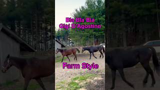 Bla Bla Bla Gigi DAgostino 🎶🚜 Farm Remix farmlife horses funnyanimals [upl. by Geddes176]