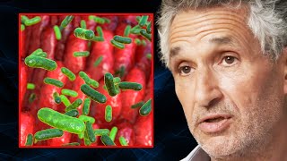 WARNING These 4 Things Are Destroying Your GUT MICROBES  Tim Spector [upl. by Oilisab]