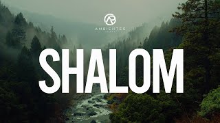 Shalom  Adoración Instrumental  Ambientes de Paz [upl. by Yoshiko]