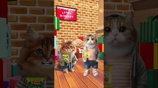 Chicky vs kissi cat cutecat catlover catvideos shorts [upl. by Namhar55]