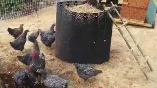 Poultry Powered Compost Conveyor P2C2 [upl. by Ellehciram]