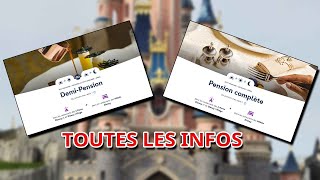 TOUT SAVOIR SUR LA DEMI PENSION OU PENSION COMPLETE ET LES PIEGES A EVITER A DISNEYLAND PARIS [upl. by Cohe]