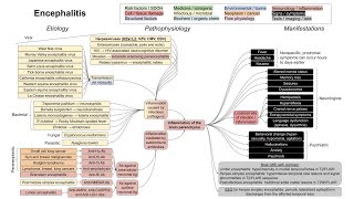 Encephalitis mechanism of disease [upl. by Liponis538]