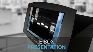 EBox Presentation [upl. by Buerger]