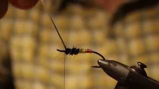 Tying the Signal Light Steelhead Fly Pattern [upl. by Natam121]