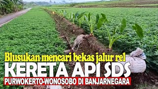 MENCARI BEKAS JALUR REL KERETA API SDS PURWOKERTOWONOSOBO DI PERSAWAHAN BAWANGBANJARNEGARA [upl. by Yarak]