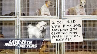 Extreme Dog Shaming Russian Collusion Pooping Twice [upl. by Enihpled206]