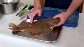 How to Prepare Plaice  Hastings Fish [upl. by Omolhs]