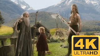 Beorn  The Hobbit  The Desolation of Smaug 4K HDR [upl. by Oeram]